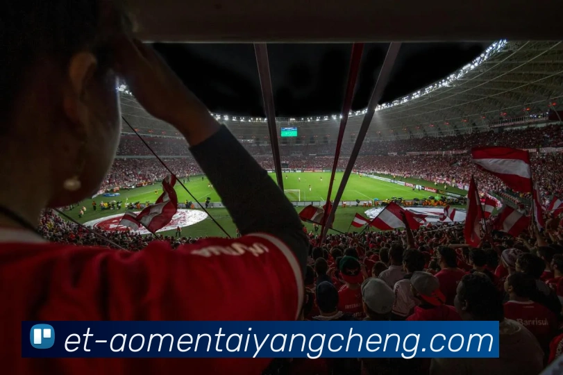 太阳城网站平台生态图