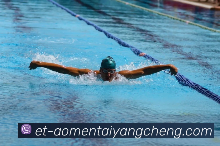 太阳城网站全站App